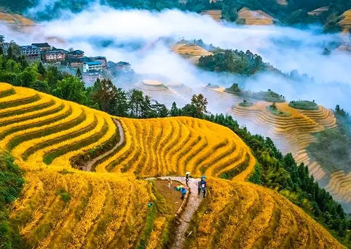 Guilin River & Yangshuo Slow Stay gallery 6