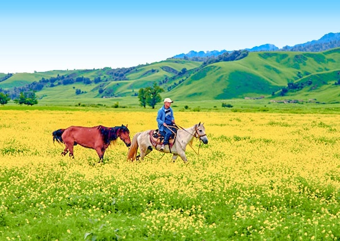 12 Days Northern Xinjiang Lakes, Grasslands & Deserts Tour itinerary