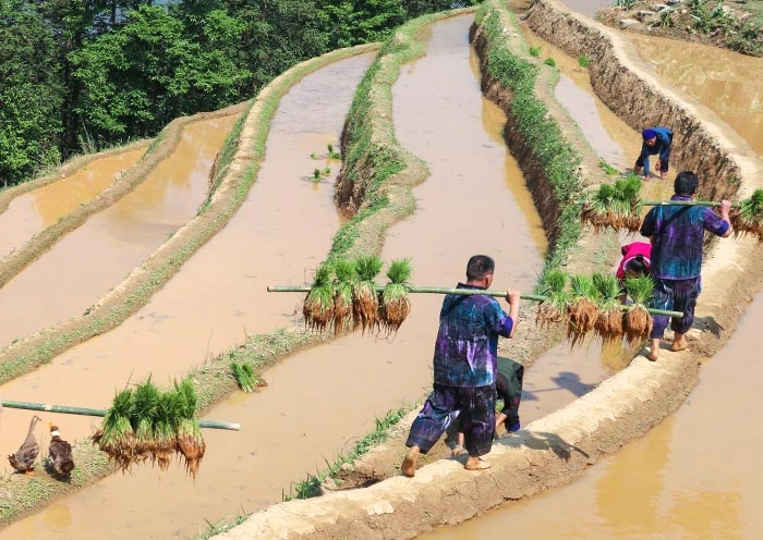 12 Days Yunnan Panorama Tour gallery 8